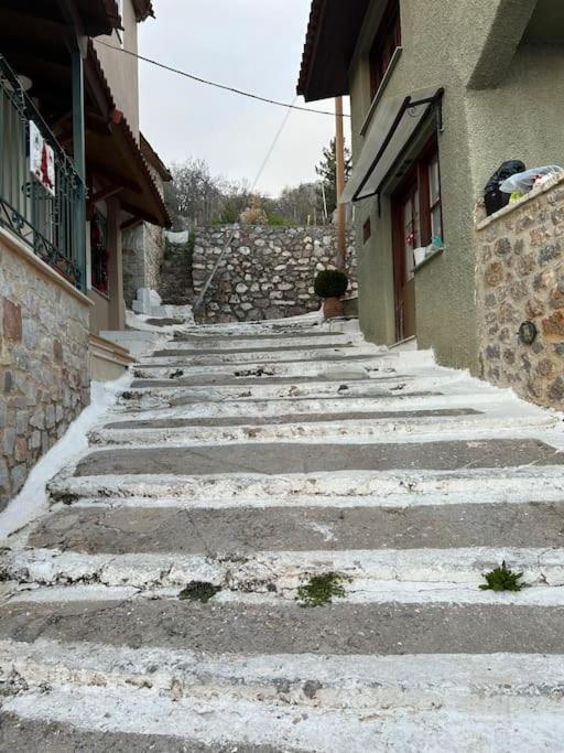 Pinelopi Apartments Arachova Exterior photo